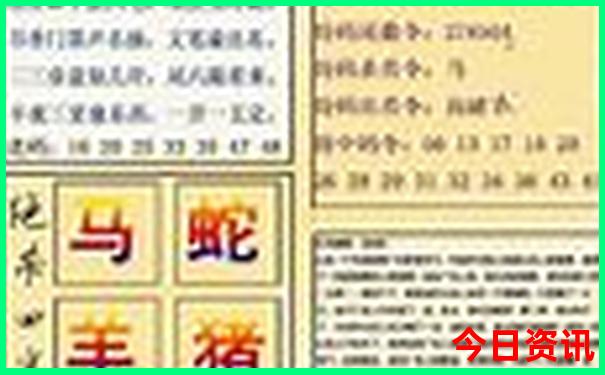 8月初去哪玩比较好